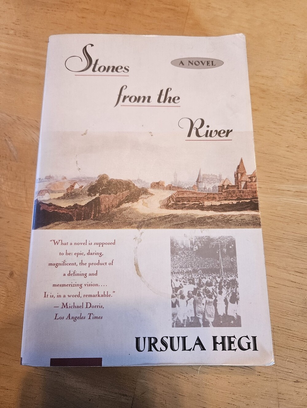 Stones From The River By Ursula Hegi